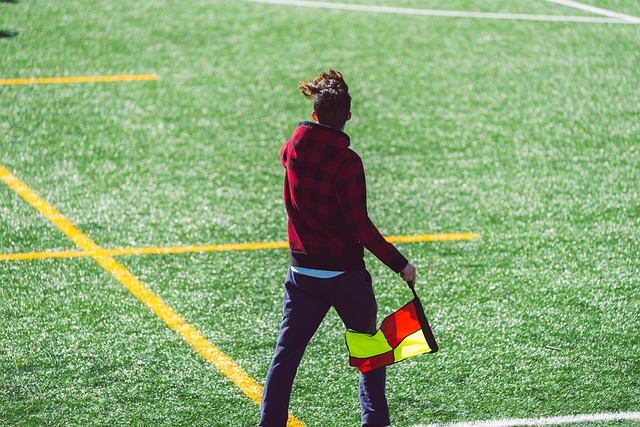 我们期待看 我们期待看