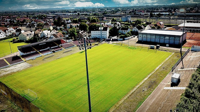 学家可能会 学家可能会