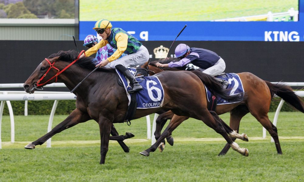 联合的黯然 联合的黯然