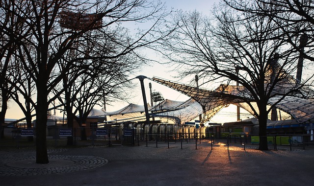 文森特状态火热！湖人击败灰熊.